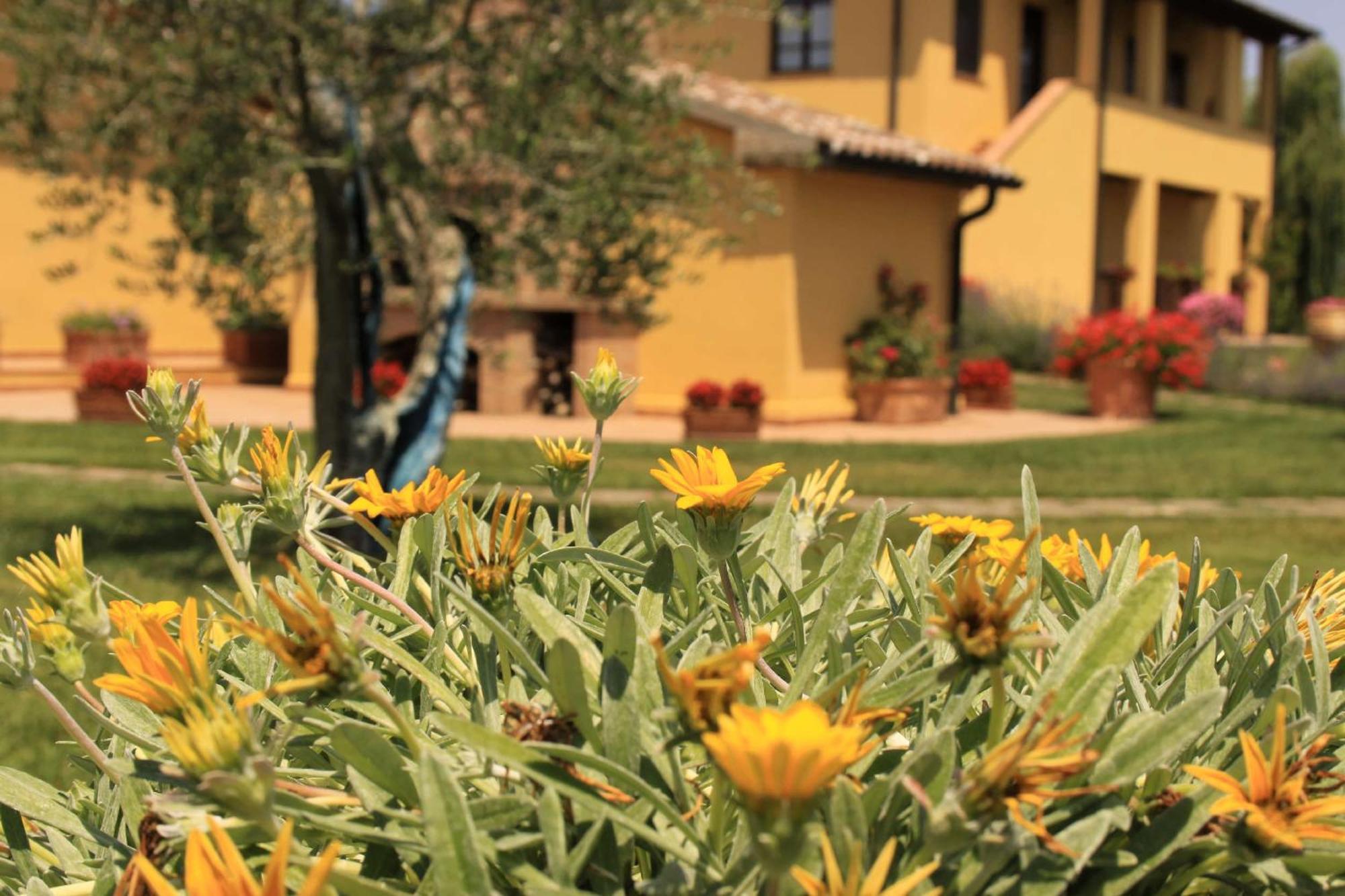 Aparthotel Podere Tre Cipressi Campiglia Marittima Exteriér fotografie